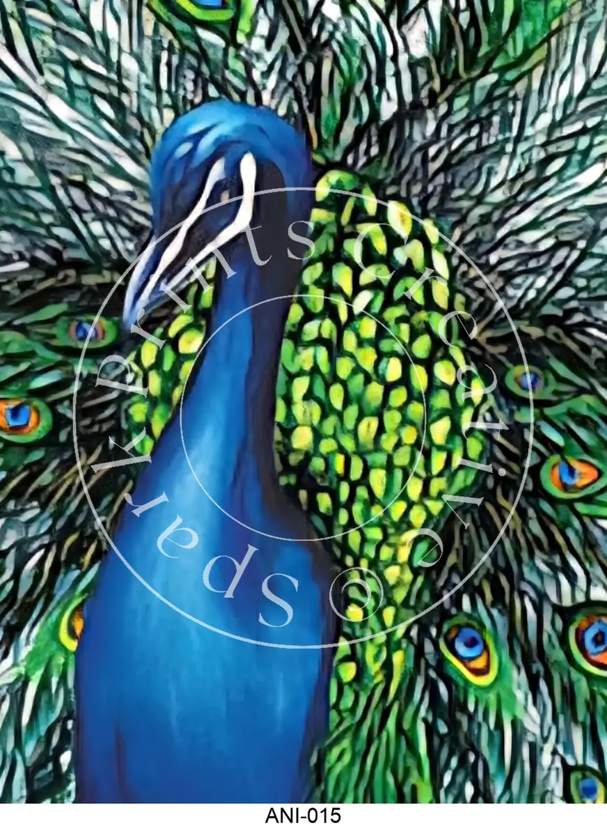 Animal & Wildlife Designs Transfer Sheet Image ANI-015