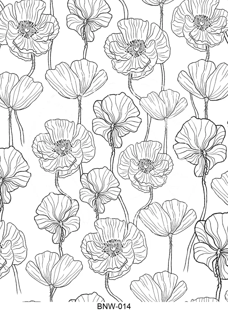 Black & White Patterns Transfer Sheet Image BNW-014