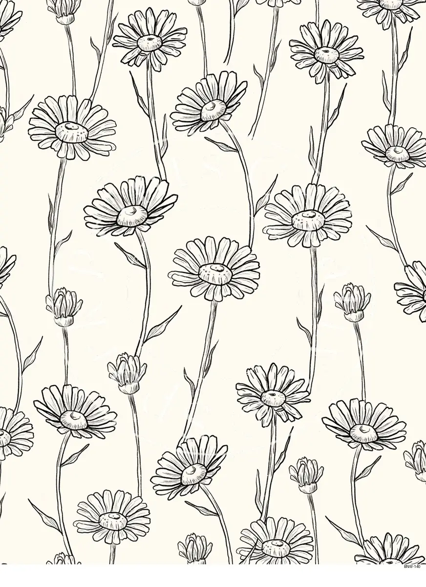 Black & White Patterns Transfer Sheet Image BNW-140