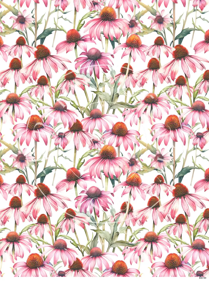 Bright Colored Botanicals Transfer Sheet Image BOB-189