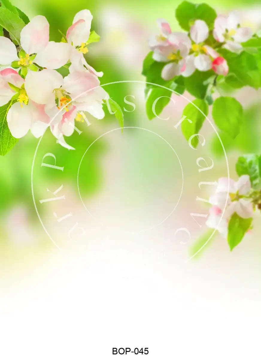 Pastel Colored Botanicals Transfer Sheet Image BOP-045
