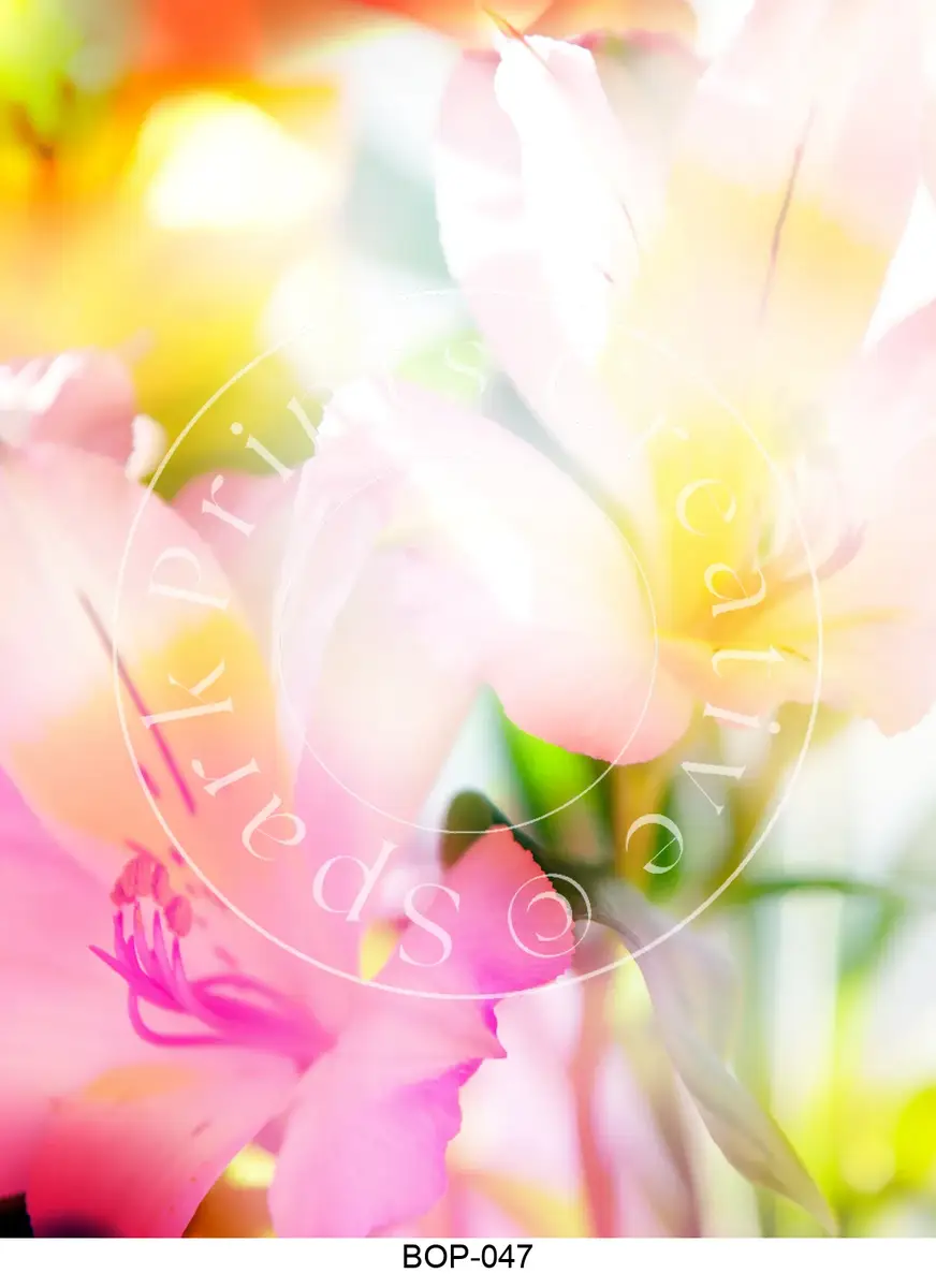 Pastel Colored Botanicals Transfer Sheet Image BOP-047