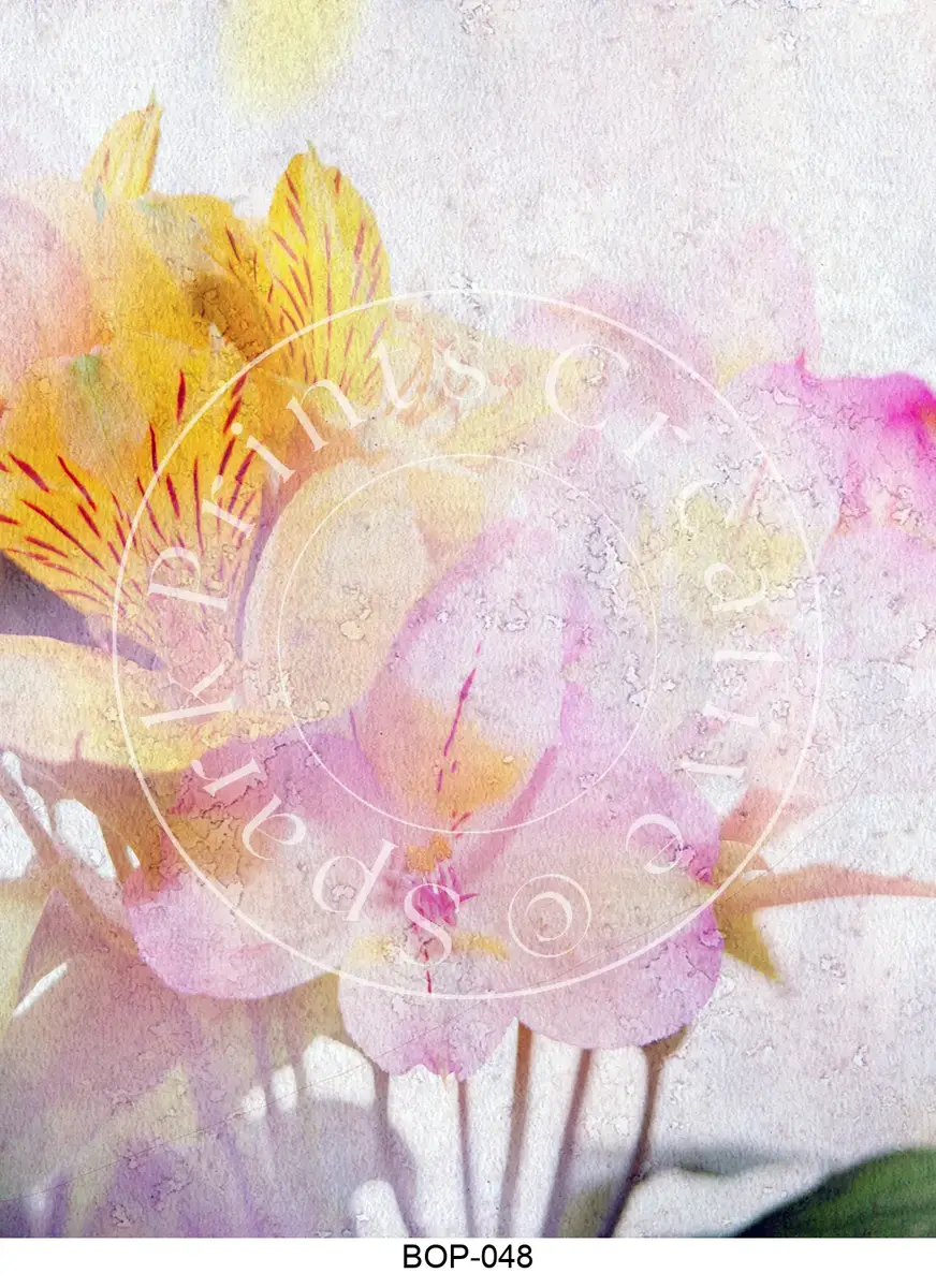 Pastel Colored Botanicals Transfer Sheet Image BOP-048