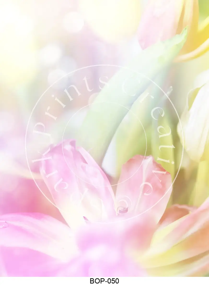Pastel Colored Botanicals Transfer Sheet Image BOP-050