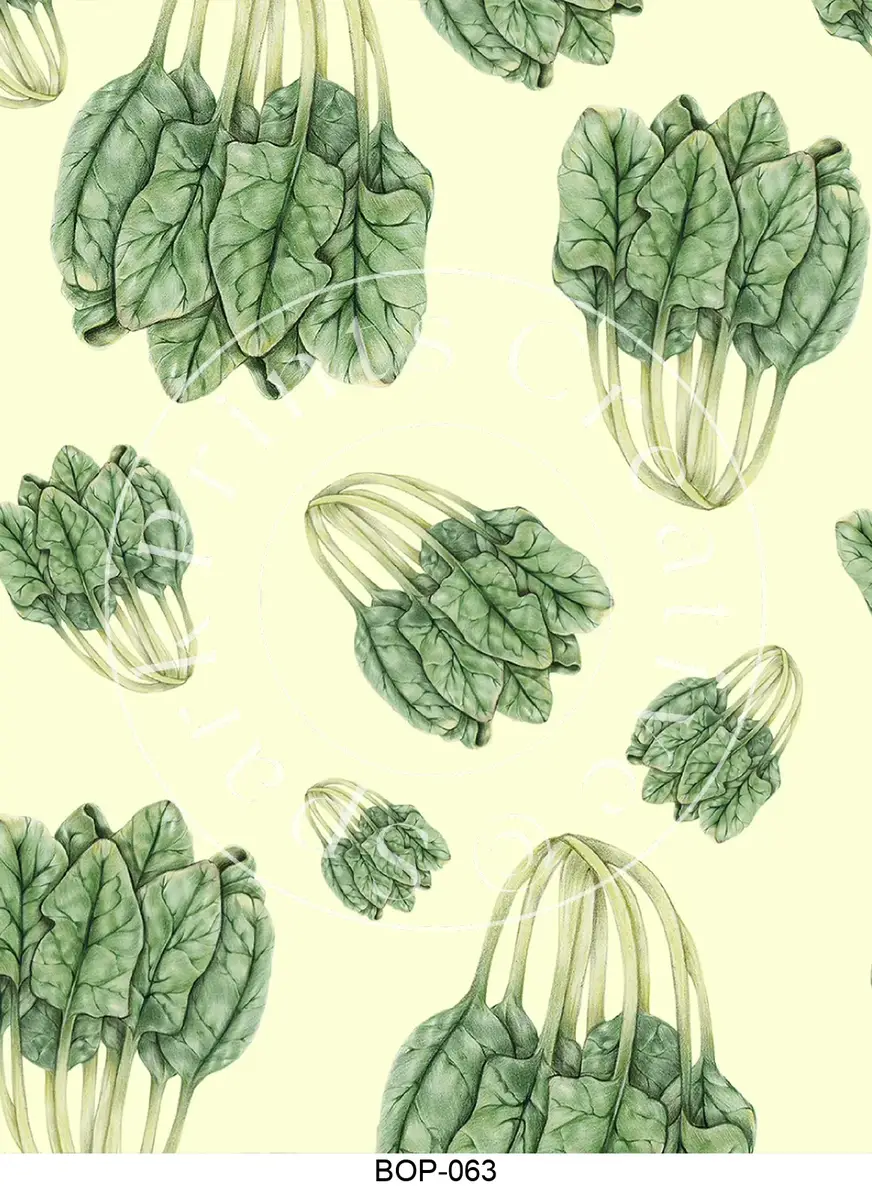 Pastel Colored Botanicals Transfer Sheet Image BOP-063