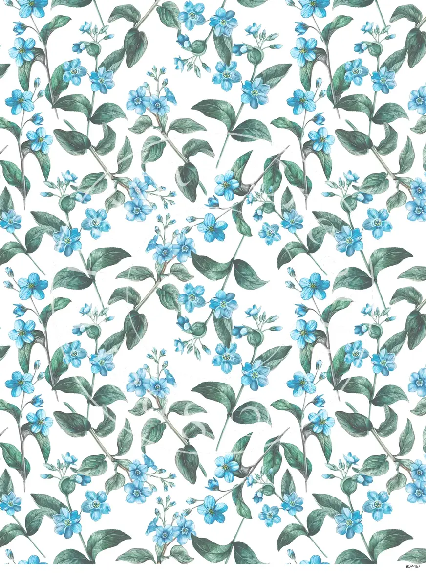 Pastel Colored Botanicals Transfer Sheet Image BOP-157