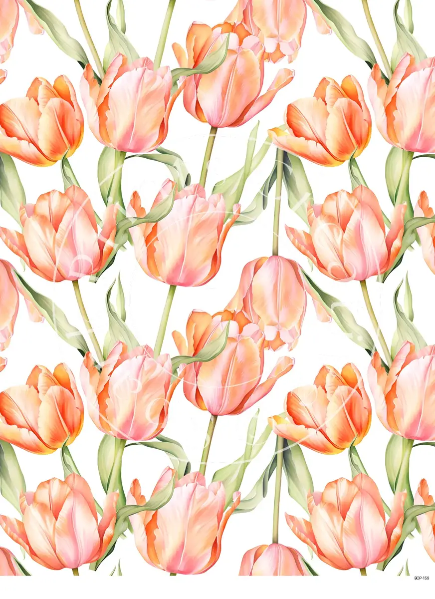 Pastel Colored Botanicals Transfer Sheet Image BOP-159