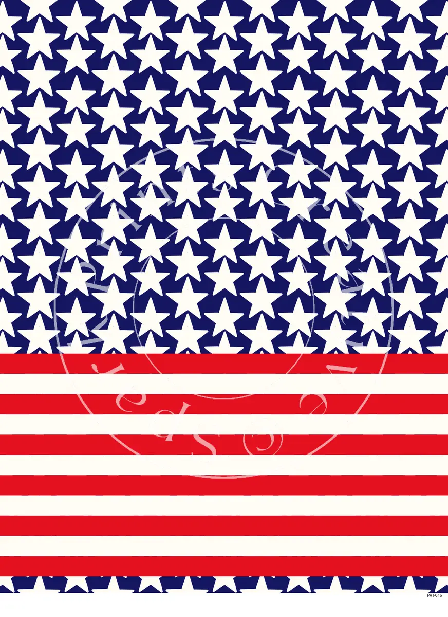 Patriotic USA Designs Transfer Sheet Image PAT-015