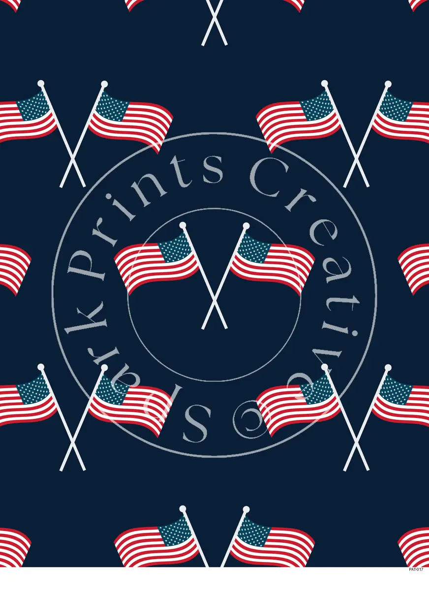 Patriotic USA Designs Transfer Sheet Image PAT-017