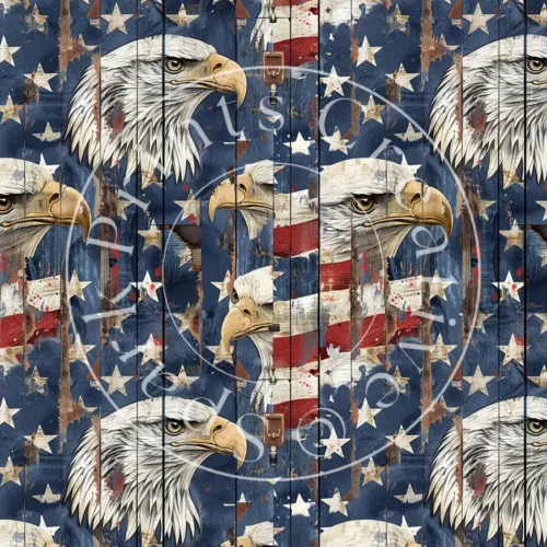 Patriotic USA Designs Transfer Sheet Image PAT-021 - Image 1