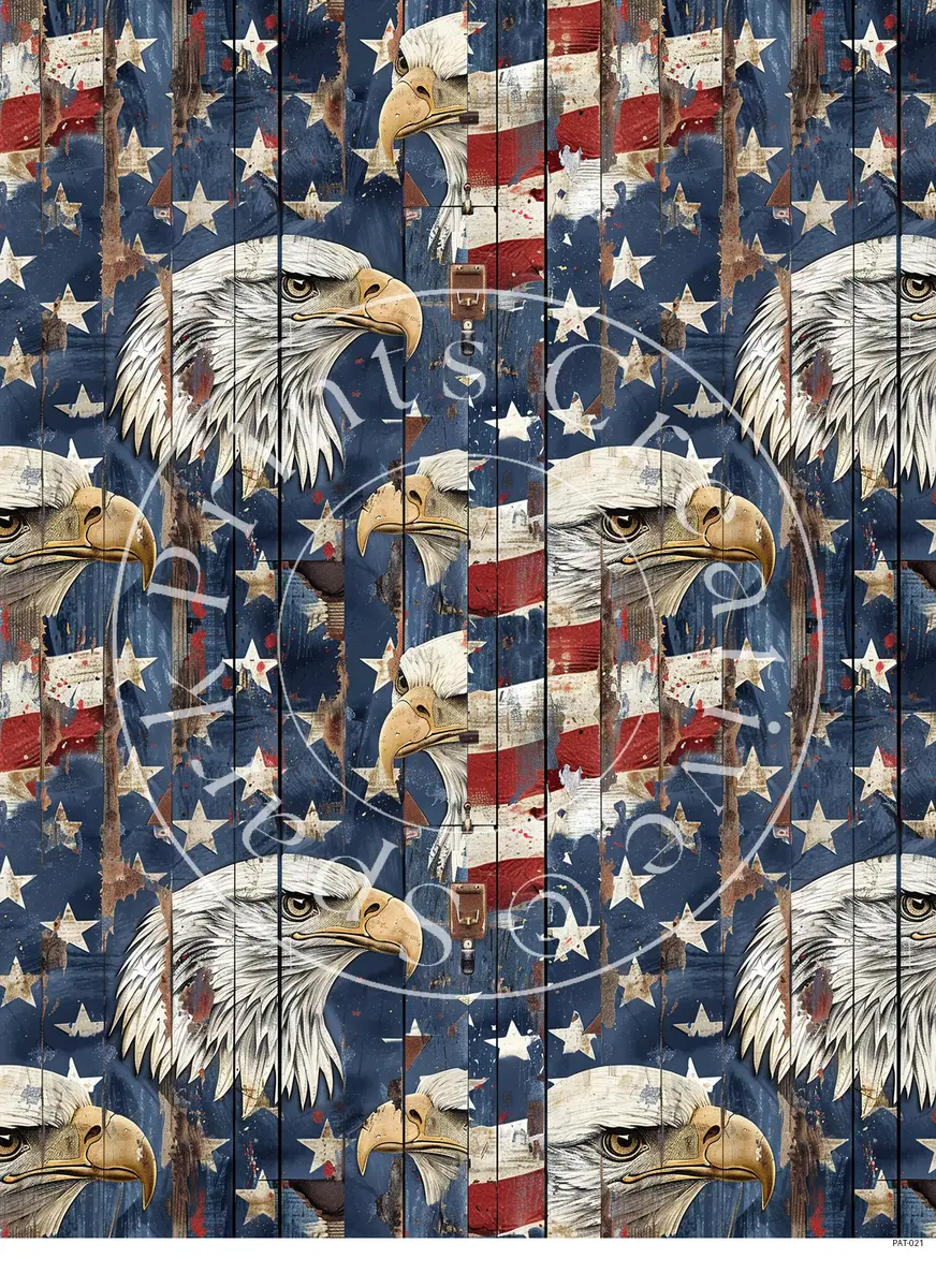Patriotic USA Designs Transfer Sheet Image PAT-021